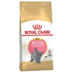 Royal Canin British Shorthair Kitten -Trixie Store la pla royalcanin britsh ki 6 1