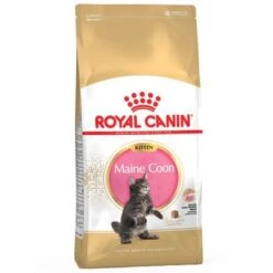 Royal Canin Breed Dry Cat Food Economy Packs 12 Royal Canin Breed Dry Cat Food Economy Packs -Trixie Store la pla royalcanin coon kitt 0