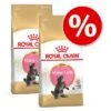 Royal Canin Breed Dry Cat Food Economy Packs 2 Royal Canin Breed Dry Cat Food Economy Packs -Trixie Store maine coon kitten rc eco pack 8