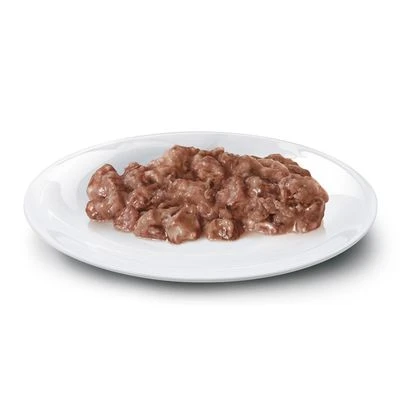 Concept For Life Maine Coon Adult - In Ragout 4 Concept For Life Maine Coon Adult - In Ragout - Image 2