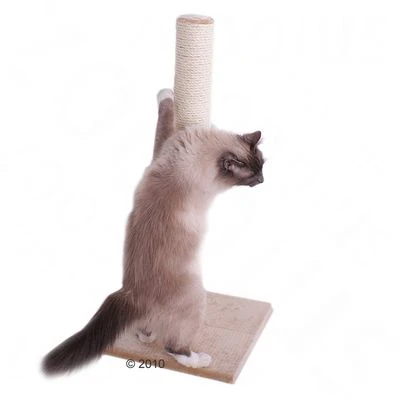 Olga Cat Scratching Post 5 Olga Cat Scratching Post - Image 3