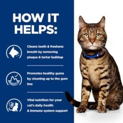 Hill's Prescription Diet Feline T/d Dental Care - Chicken -Trixie Store pd td cat bk24892m how helps uk 5