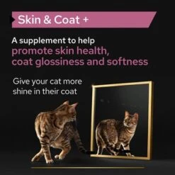 Pro Plan Cat Adult Skin & Coat Supplement Oil -Trixie Store pu proplan uk supplements skin coat cat l 1 2