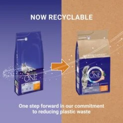 Purina ONE Adult Chicken & Whole Grains Dry Cat Food 12 Purina ONE Adult Chicken & Whole Grains Dry Cat Food -Trixie Store puoedcgoaadolch22npd2plguk 9