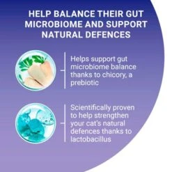 Purina ONE Adult Salmon & Whole Grains Dry Cat Food -Trixie Store purina one adult lachs mit vollkorngetreide uk 08 7