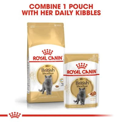 Royal Canin British Shorthair Adult 7 Royal Canin British Shorthair Adult - Image 5