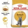 Royal Canin British Shorthair Adult