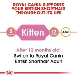Royal Canin British Shorthair Kitten -Trixie Store rc fbn kittenbritishshorthair cv1 001 uk english 9