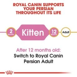 Royal Canin Persian Kitten 13 Royal Canin Persian Kitten -Trixie Store rc fbn kittenpersian cv1 000 uk english 4