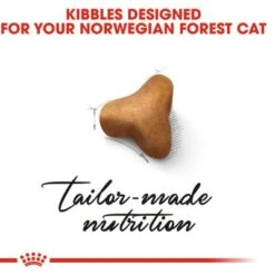 Royal Canin Norwegian Forest Cat Adult -Trixie Store rc fbn norwegianfc cv eretailkit 2 8