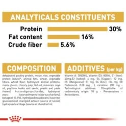 Royal Canin Norwegian Forest Cat Adult -Trixie Store rc fbn norwegianfc cv eretailkit 6 1