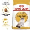 Royal Canin Ragdoll Adult 2 Royal Canin Ragdoll Adult -Trixie Store rc fbn ragdoll mv eretailkit 6