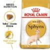 Royal Canin Sphynx Adult 2 Royal Canin Sphynx Adult -Trixie Store rc fbn sphynx mv eretailkit 3