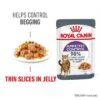 Royal Canin Appetite Control Care In Jelly
