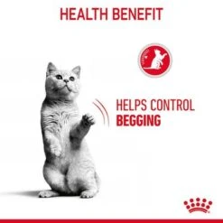 Royal Canin Appetite Control Care In Jelly -Trixie Store rc fcn appetitecontrolpouchjelly 6 en gb 4