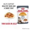 Royal Canin Hair & Skin Care In Jelly 2 Royal Canin Hair & Skin Care In Jelly -Trixie Store rc fcn hair skinpouchjelly 1 en gb 1