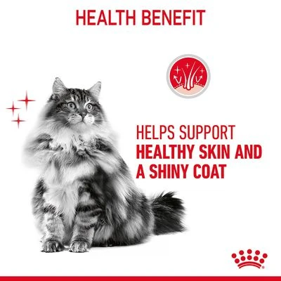Royal Canin Hair & Skin Care In Jelly 7 Royal Canin Hair & Skin Care In Jelly - Image 5