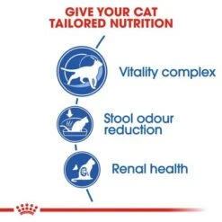 Royal Canin Indoor 7+ -Trixie Store rc fhn indoor7 cv eretailkit 2 2