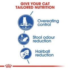 Royal Canin Indoor Appetite Control 15 Royal Canin Indoor Appetite Control -Trixie Store rc fhn indoorappetitecontrol cv eretailkit 2 2
