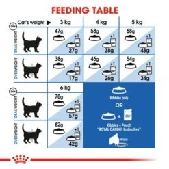 Royal Canin Indoor Appetite Control 16 Royal Canin Indoor Appetite Control -Trixie Store rc fhn indoorappetitecontrol cv eretailkit 4 2