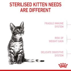Royal Canin Kitten Sterilised -Trixie Store rc spt dry kittenster b1 page 04 7