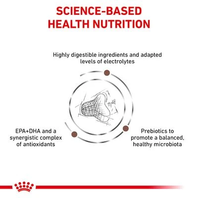 Royal Canin Veterinary Cat – Gastrointestinal Fibre Response 6 Royal Canin Veterinary Cat – Gastrointestinal Fibre Response - Image 4