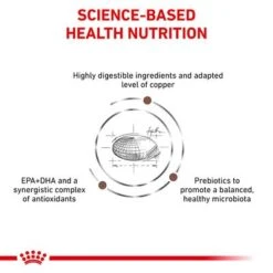 Royal Canin Veterinary - Hepatic HP 26 -Trixie Store rc vet dry catgastrohe eretailkit b1 page 4 7