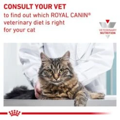 Royal Canin Veterinary - Urinary S/O Moderate Calorie -Trixie Store rc vet dry caturinarysomc eretailkit b1 page 09 7