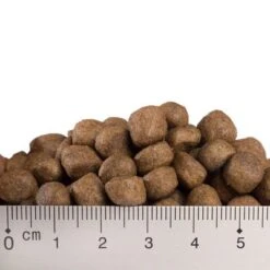 Feringa Adult Fish 8 Feringa Adult Fish -Trixie Store x008 0