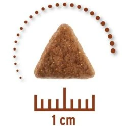 Concept For Life Veterinary Diet Economy Pack 2 X 10kg -Trixie Store zop 19 0101 cfl vet cat intestinal 1000x1000px 3